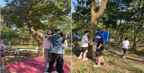 1667963995556295.png image.png