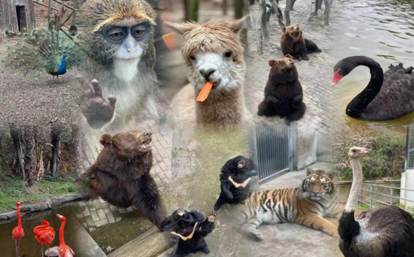 1679365028103940.png image.png