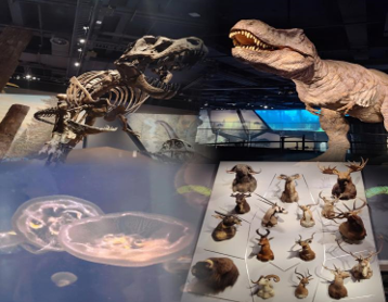 1679365396302978.png image.png