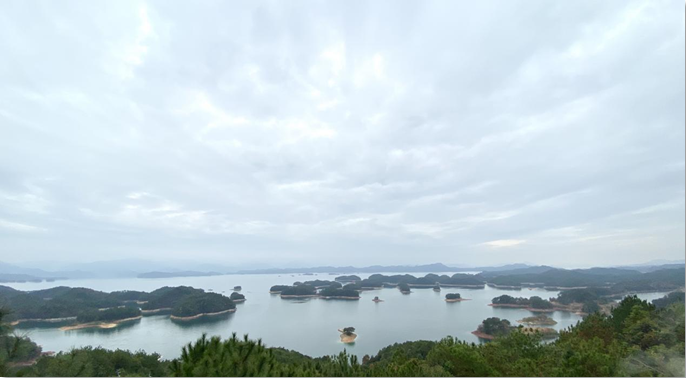 1575362537834558.png 12.png