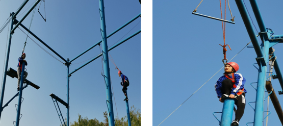 1575956776429026.png 11.png